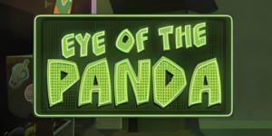 eye of the panda